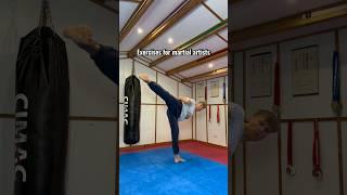 Exercises for martial artists