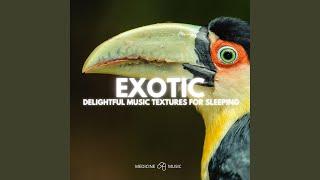 Natural (Delightful Music Textures For Sleeping)