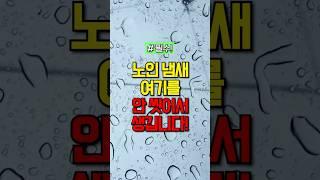 노인냄새는 이곳에서 납니다! #건강 #건강정보