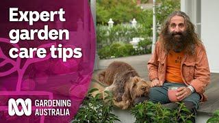 Come spend a day learning about garden maintenance from a designer | Discovery | Gardening Australia