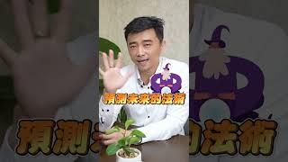 老師接觸到奇門遁甲的契機！為什麼會想學奇門遁甲呢？#奇門遁甲 #命理 #鄭詩懷 #鄭詩懷的財經命理學堂 #預測 #未來 #事件 #法術 #決心 #學習 #shorts #shortsvideo