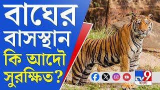 Kultoli Tiger, Sundarban: বারবার লোকালয়ে বাঘ কেন?