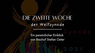 Die zweite Woche der Weltsynode @BischofStefanOsterSDB