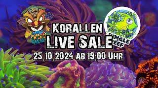 Korallen für euer Meerwasser Aquarium / Live Sale bei Jungle and Reef