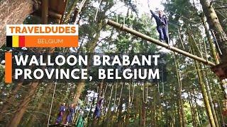 Adventure Park and Chateau d'Helecine, Belgium [Belgium travel guide]