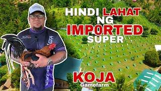 Paano Ba Mag Import | KOJA GF