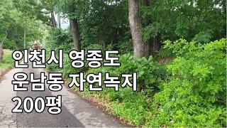 영종도부동산 토지매매 운남동 자연녹지 200평 평당180만원  (최효태부동산Tv)