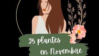 25 plantes sauvages comestibles  en Novembre à moins de 100m de mon habitation! Défi relevé 