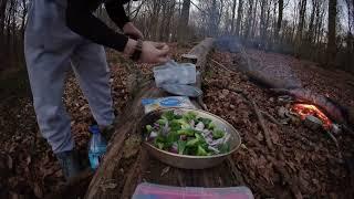 Spring Camping UK - OVERNIGHT IN WOMBWELL WOODS!