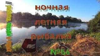 Летняя рыбалка на реке . Ночная рыбалка