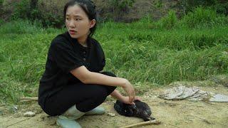 越南单亲妈妈李小女第1集：#纪录片 #乡村故事 #荒野建造 #越南农村