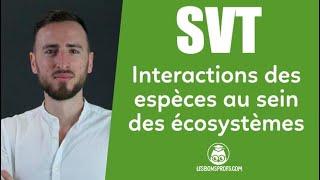 Interactions des espèces au sein des écosystèmes - SVT - Collège - Les Bons Profs