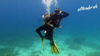 Scuba Diving A Natural World Wonder... The Great Barrier Reef