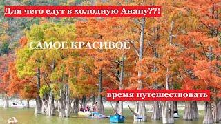 "Что происходит в Анапе без туристов?" или "Когда краснеют кипарисы в Сукко?". Анапа - яркое время.