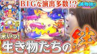 【P大海物語5】生き物たちの『絆(泡前兆)』に振り回されるビワコ!?  BIGプレミアムもたーんまり見れちゃいました!?【波物語# 11】 [パチンコ] [実戦]