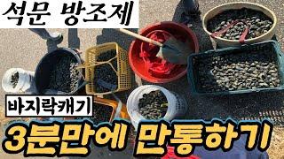 석문방조제 26번에서 바지락 3분만에 만통하는법