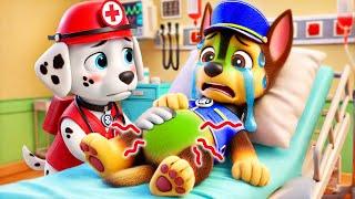 CHASE Is In The Hospital? What Happened?! | Paw Patrol The Mighty Movie| So Sad Story | Rainbow 3