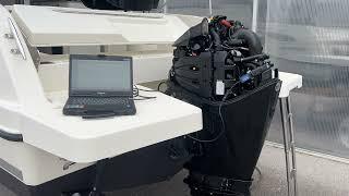 Mercury F200 V6 DTS diagnostic test @pronautikacroatia