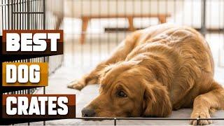 Best Dog Crate In 2025 - Top 10 Dog Crates Review