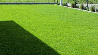 7 Pro Tips for Old and New Lawn Maintenance