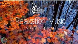 Peaceful Instrumental Music - Relaxing Piano Music for Sleep & Study 1 hour ⭐️120