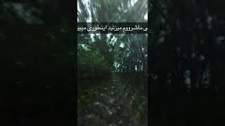 #ماشروم#گل