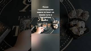 КАКАЯ ПЕРВООЧЕРЕДНАЯ ЗАДАЧА ВСТАНЕТ НА ВАШЕМ ПУТИ В БЛИЖАЙШЕЕ ВРЕМЯ #бабаягатаро