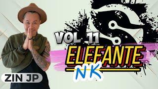 ELEFANTE | NK | ZUMBA FITNESS | Volume 11 | 2024