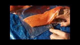 How to FILLET a Dolly Varden...EXCELLENT!!!