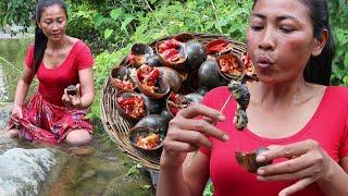 Survival skills: Pick Snails for food & Grilled Snails for Eating delicious - Food my village Ep 43