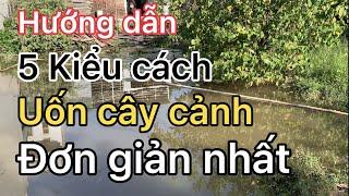 Hướng dẫn kiểu cách uốn nắn cây cảnh cho người mới làm BONSAI. Cách làm dễ, đơn giản. CHỐNG DỊCH 144