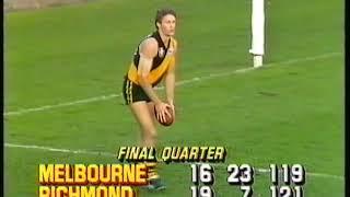 1986 VFL Round 12 - Melbourne vs Richmond