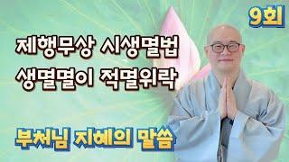 [ 부처님 지혜의 말씀 9회 ] 대반열반경 | 제행무상 시생멸법 적멸멸이 적멸위락
