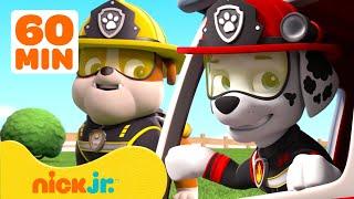 Paw Patrol -La Squadra dei Cuccioli | PAW Patrol NUOVI EPISODI Compilation! | 1 Ora |Nick Jr. Italia