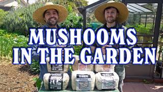 How Mushrooms Make Your Garden BETTER + 3 Ways To Grow Them!