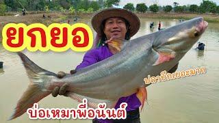 ยกยอ ปลาบัตร1000.-฿ ►Fishing lifestyle Ep.752