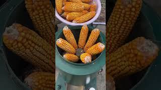 Benefits of Inclined Rollers in Feed Pellet Machine