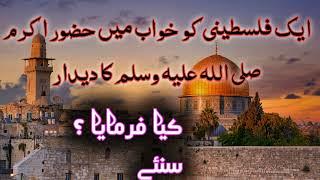 Aik falastni ko Nabi Kareem (saw) ka deedar|M.S.H Islahi Bayanat