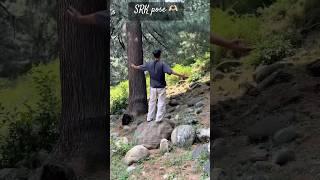 SRK pose #song #love #hindisong #bollywood #music #srkfan #srkstatus #bolleywoodsong #musicgenre