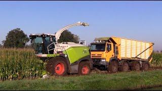 Maïs 2024 | Ketting strak is gebak | Tatra 8x8,JD en Fendt vastgereden | Markvoort | Wet harvest