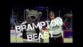 Brampton Beast Rules of Hockey