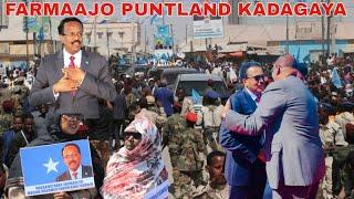 DEGDEG FARMAAJO GAROWE KUWAJAHAN SOO DHAWAYN CAJIIB AH ISBAHAYSI MAREEXAAN IYO MAJEERTEEN