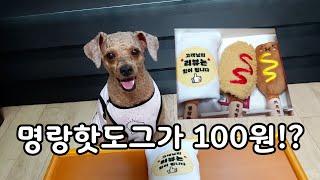 어바웃펫 택배깡 /명랑핫도그가 100원!? /강아지 간식 언박싱/ 택배하울 / 알고리즘/ ASMR / 브이로그 / Vlog / unboxing / haul