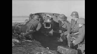 5cm Pak 38 anti-tank gun engages a Soviet vessel on the Eastern Front in the Summer of 1941