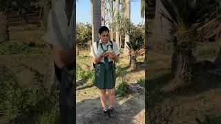 Free K Amrud K Chakar Mai Lene K Dene Pad Gae  #fruit #minivlog #vlog #sanjhalikavlog