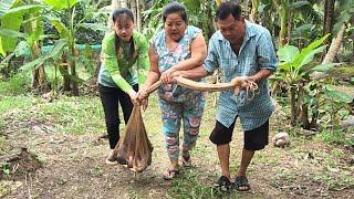 Quá Sức Trận Này Ra Vườn Quất Một Chài Cá Gỡ Đã Tay | BQCM & Family T892