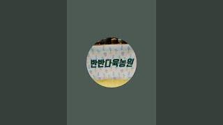 반반다육농원 Succulent Farm 라이브 스트리밍 중