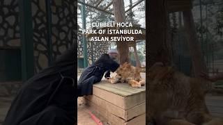 Cübbeli Ahmet Hoca Aslan Seviyor