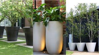 Large Potted plants outdoor landscaping | Landscaping with potted plants | Flower pot arrangements