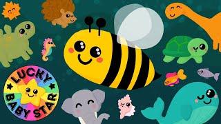  Animal Friends Safari: Sensory Stream for Babies & Toddlers with Lucky Baby Star! 